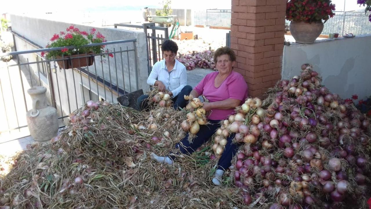 Agriturismo Gli Antichi Sapori - Con Stazione Di Ricarica Veicoli Elettrici Vatolla Kültér fotó