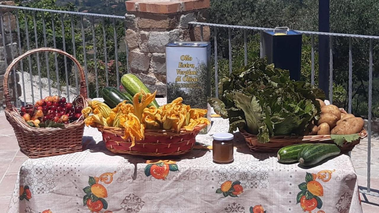 Agriturismo Gli Antichi Sapori - Con Stazione Di Ricarica Veicoli Elettrici Vatolla Kültér fotó